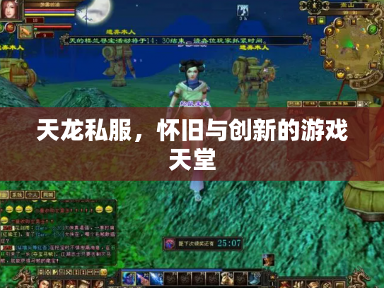 天龙私服，怀旧与创新的游戏天堂