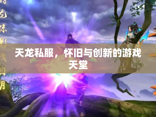 天龙私服，怀旧与创新的游戏天堂