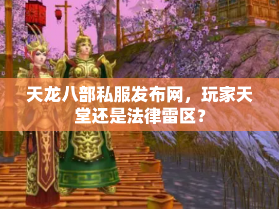 天龙八部私服发布网，玩家天堂还是法律雷区？