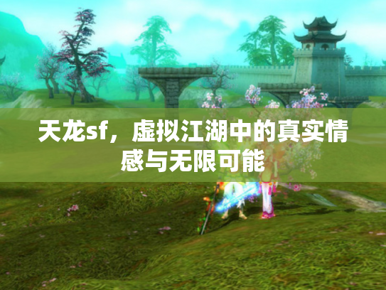 天龙sf，虚拟江湖中的真实情感与无限可能