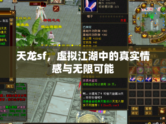 天龙sf，虚拟江湖中的真实情感与无限可能