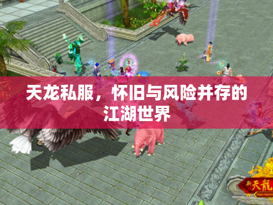 天龙私服，怀旧与风险并存的江湖世界