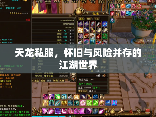 天龙私服，怀旧与风险并存的江湖世界