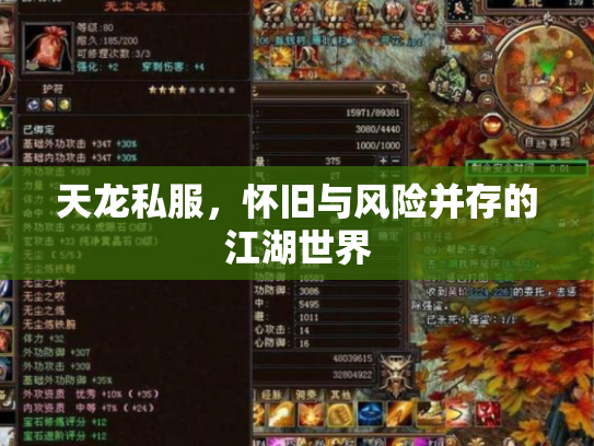 天龙私服，怀旧与风险并存的江湖世界