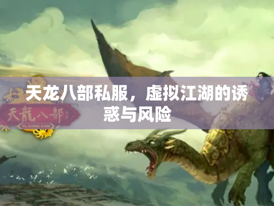 天龙八部私服，虚拟江湖的诱惑与风险