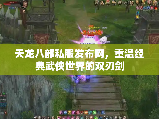 天龙八部私服发布网，重温经典武侠世界的双刃剑