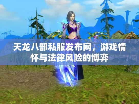 天龙八部私服发布网，游戏情怀与法律风险的博弈