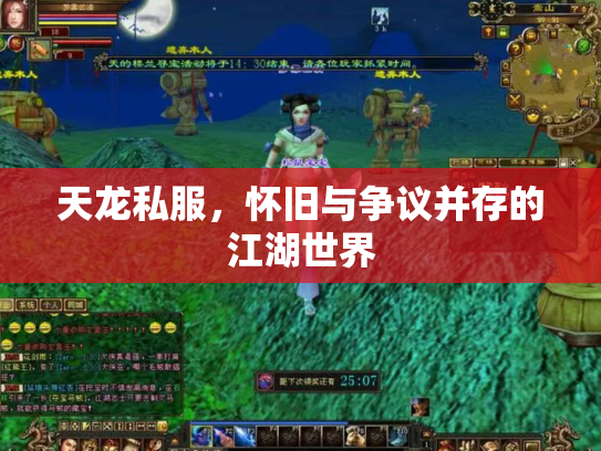 天龙私服，怀旧与争议并存的江湖世界