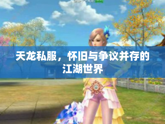天龙私服，怀旧与争议并存的江湖世界