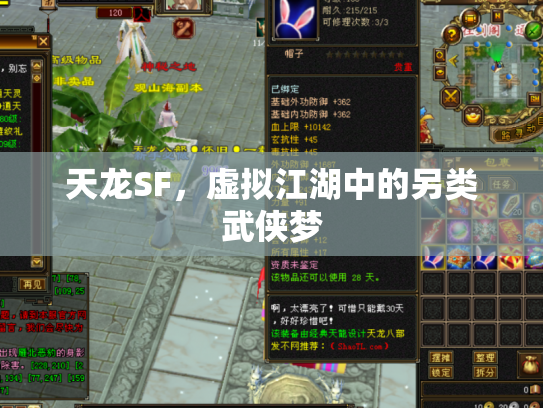 天龙SF，虚拟江湖中的另类武侠梦