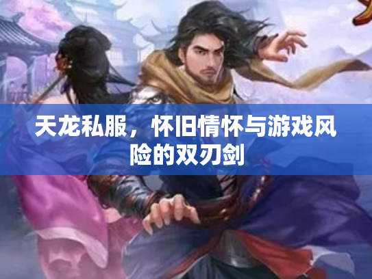 天龙私服，怀旧情怀与游戏风险的双刃剑