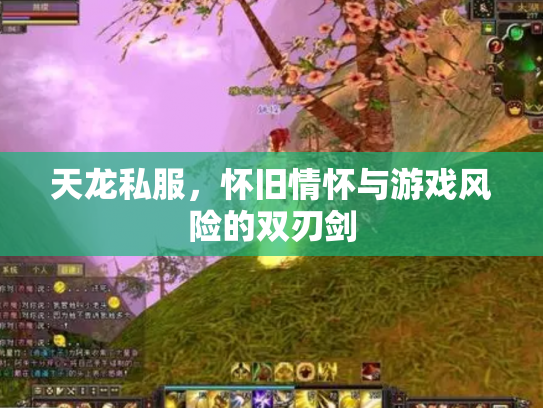 天龙私服，怀旧情怀与游戏风险的双刃剑