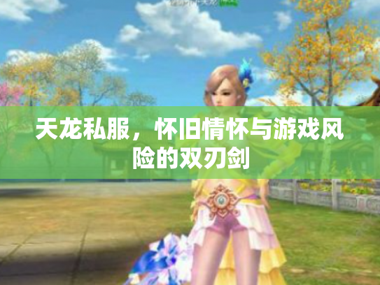 天龙私服，怀旧情怀与游戏风险的双刃剑