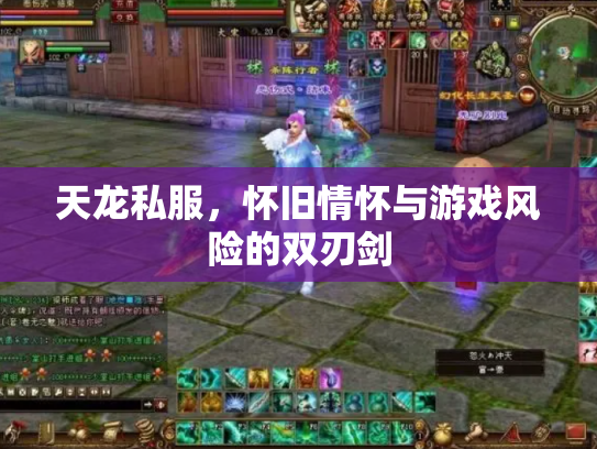 天龙私服，怀旧情怀与游戏风险的双刃剑