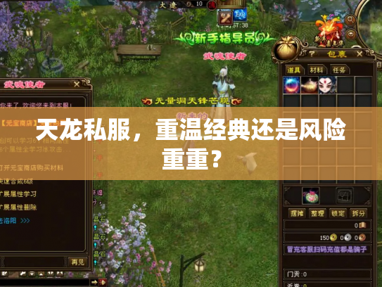 天龙私服，重温经典还是风险重重？