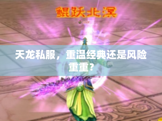 天龙私服，重温经典还是风险重重？