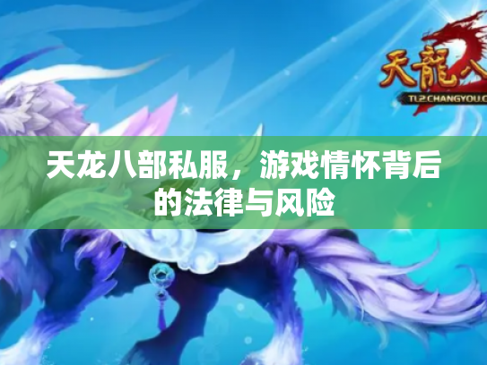 天龙八部私服，游戏情怀背后的法律与风险