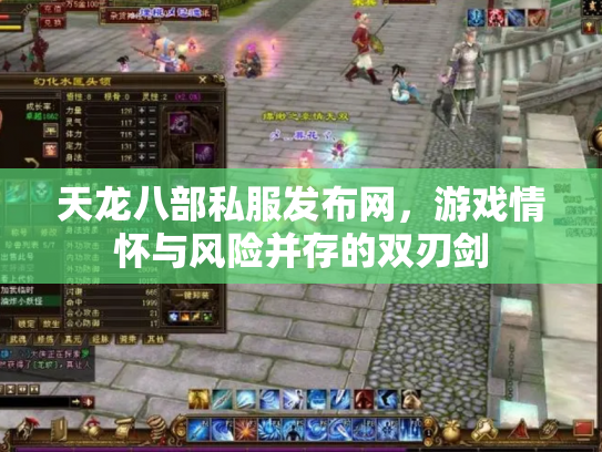 天龙八部私服发布网，游戏情怀与风险并存的双刃剑