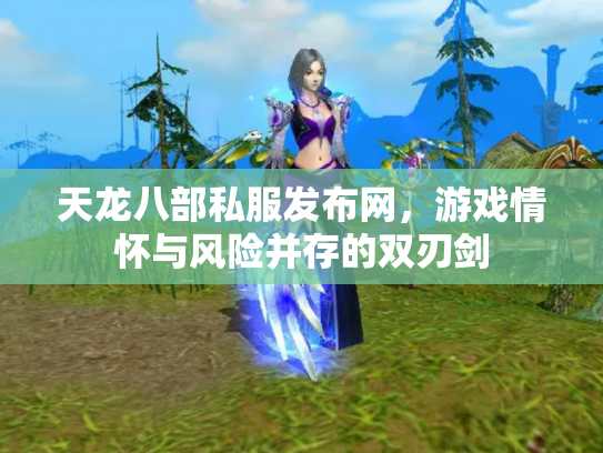 天龙八部私服发布网，游戏情怀与风险并存的双刃剑