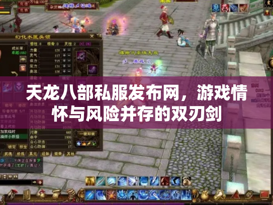 天龙八部私服发布网，游戏情怀与风险并存的双刃剑
