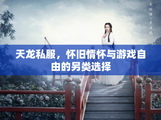 天龙私服，怀旧情怀与游戏自由的另类选择