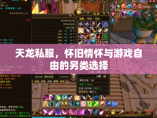 天龙私服，怀旧情怀与游戏自由的另类选择