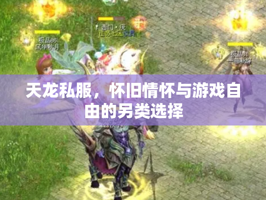 天龙私服，怀旧情怀与游戏自由的另类选择