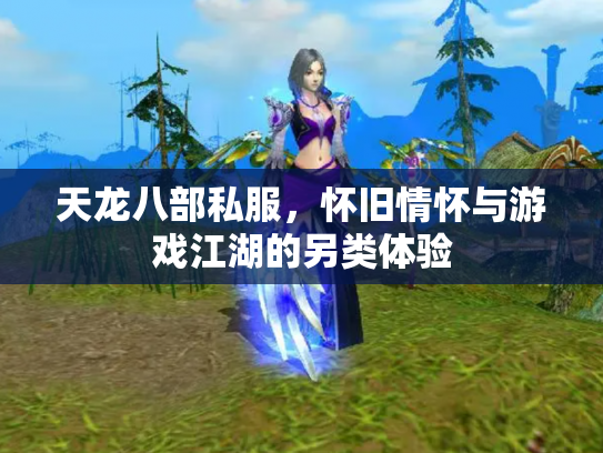 天龙八部私服，怀旧情怀与游戏江湖的另类体验
