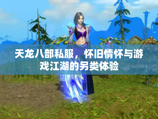 天龙八部私服，怀旧情怀与游戏江湖的另类体验