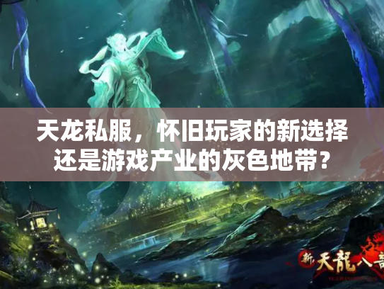 天龙私服，怀旧玩家的新选择还是游戏产业的灰色地带？