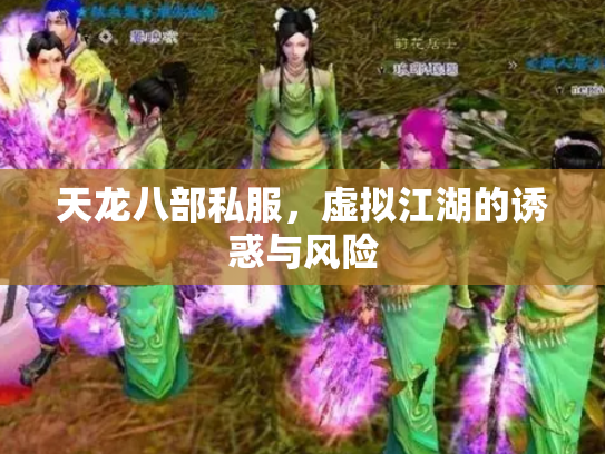 天龙八部私服，虚拟江湖的诱惑与风险
