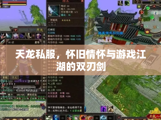 天龙私服，怀旧情怀与游戏江湖的双刃剑