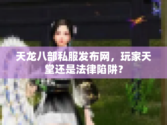 天龙八部私服发布网，玩家天堂还是法律陷阱？