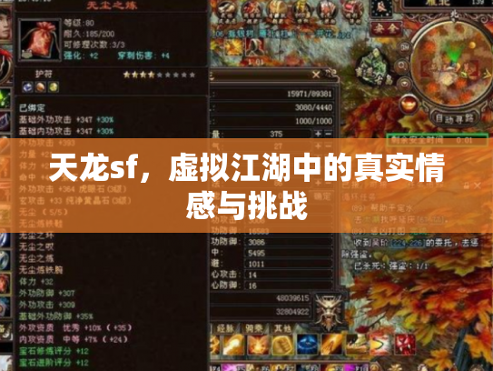 天龙sf，虚拟江湖中的真实情感与挑战