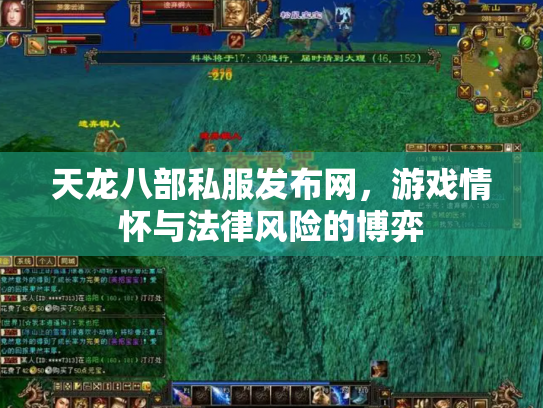天龙八部私服发布网，游戏情怀与法律风险的博弈