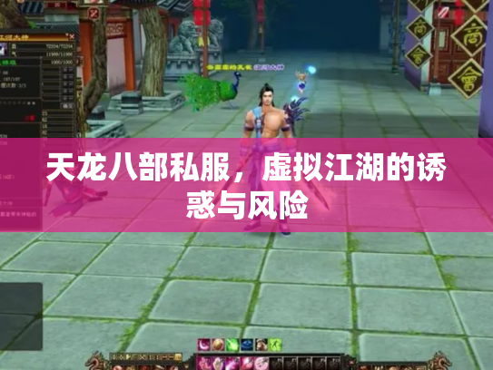 天龙八部私服，虚拟江湖的诱惑与风险