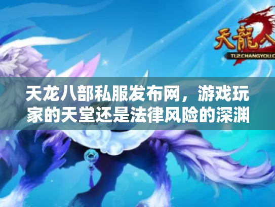 天龙八部私服发布网，游戏玩家的天堂还是法律风险的深渊？