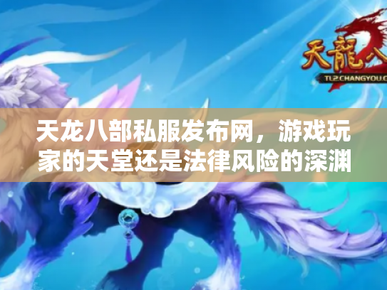 天龙八部私服发布网，游戏玩家的天堂还是法律风险的深渊？