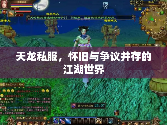 天龙私服，怀旧与争议并存的江湖世界