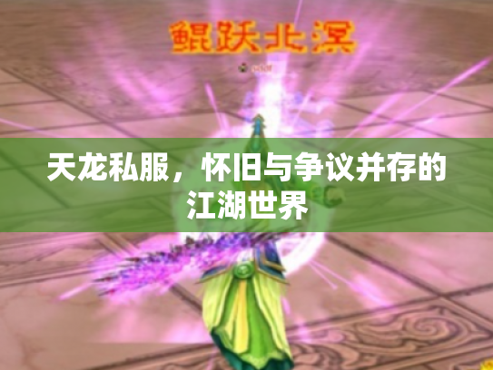 天龙私服，怀旧与争议并存的江湖世界