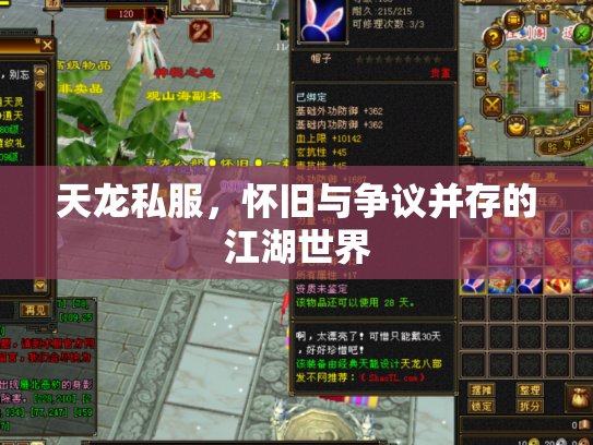 天龙私服，怀旧与争议并存的江湖世界