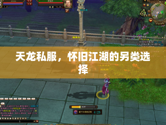 天龙私服，怀旧江湖的另类选择