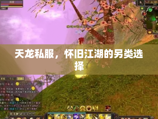 天龙私服，怀旧江湖的另类选择