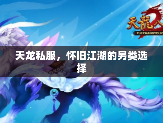 天龙私服，怀旧江湖的另类选择