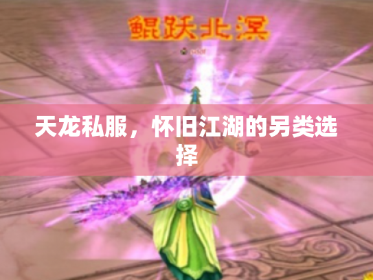 天龙私服，怀旧江湖的另类选择