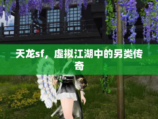 天龙sf，虚拟江湖中的另类传奇