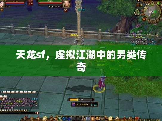 天龙sf，虚拟江湖中的另类传奇