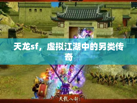 天龙sf，虚拟江湖中的另类传奇