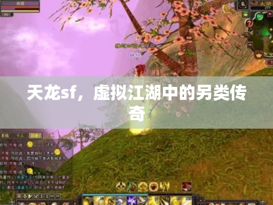 天龙sf，虚拟江湖中的另类传奇