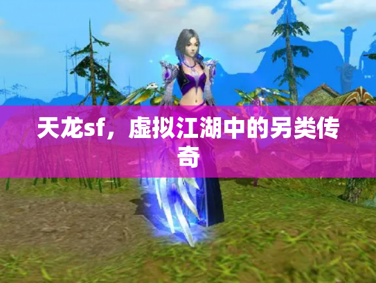 天龙sf，虚拟江湖中的另类传奇